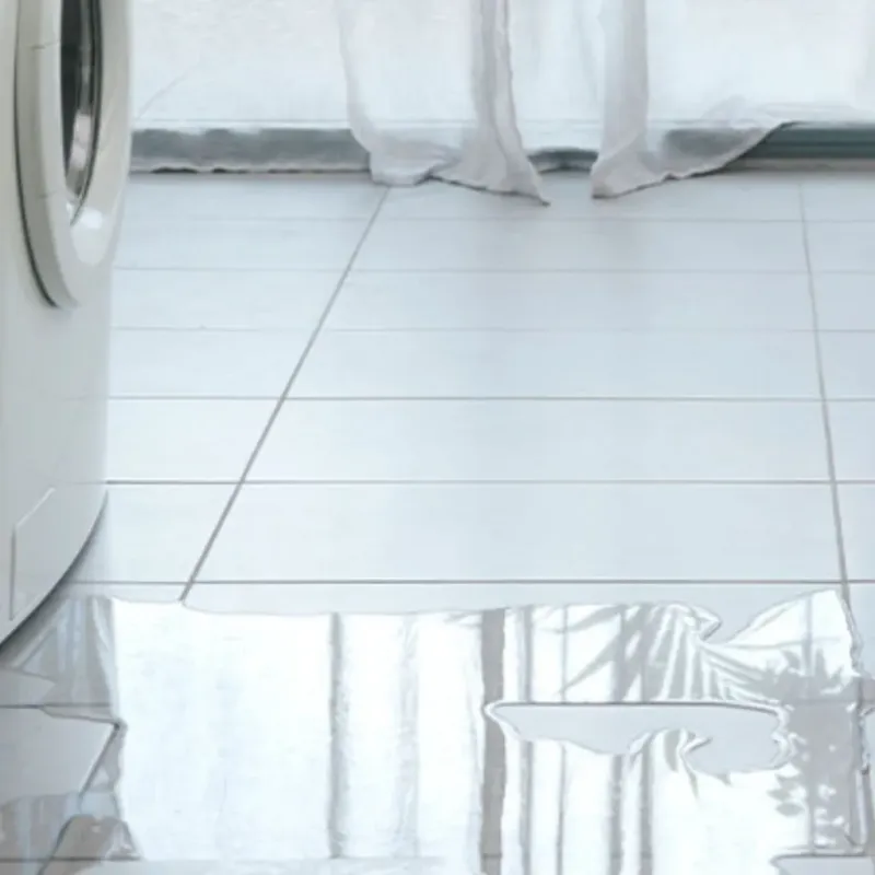 Appliance Leak Cleanup in Interlachen, FL
